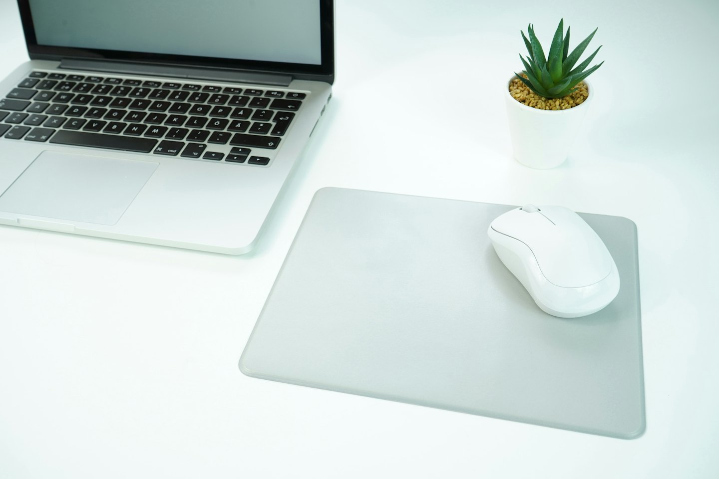 Laptop und Sukkulente auf einem sauberen weißen Schreibtisch.